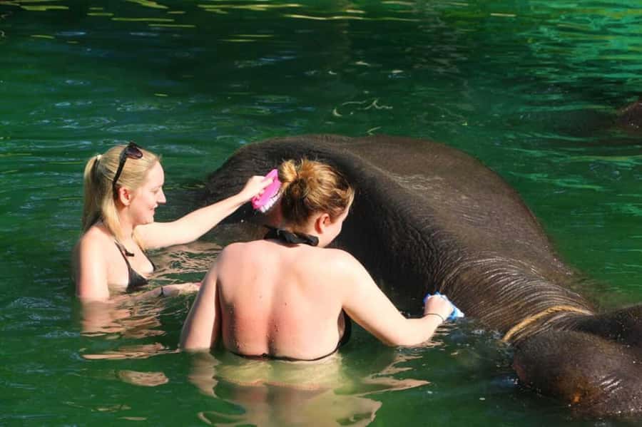 Khao Lak: Rafting, Elephant Bathing & Sea Turtle Center Tour - Who This Tour Fits Best (and Who Might Skip It)