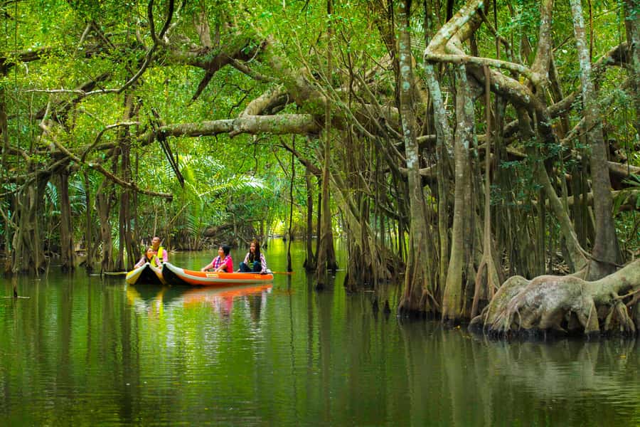 Khao Lak's Little Amazon: Canoe, Trek & Waterfall Day Trip - Pickup, Van Ride, and How to Time Your Day