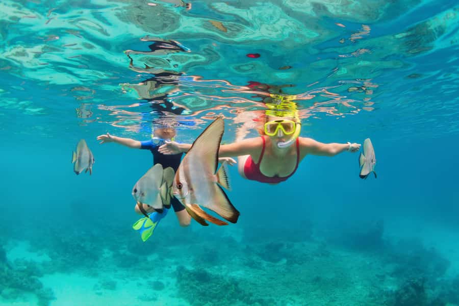 Khao Lak: Similan Islands Snorkeling Day Trip w/Meals - Key highlights worth waking up for
