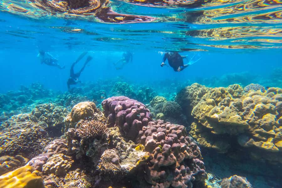 Khao Lak: Similan Islands Snorkeling Day Trip w/Meals - First reef stop: Collar Bay near Koh Bangu