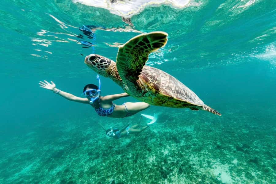 Khao Lak: Similan Islands Snorkeling Day Trip w/Meals - What’s included, what’s extra, and what you should pack