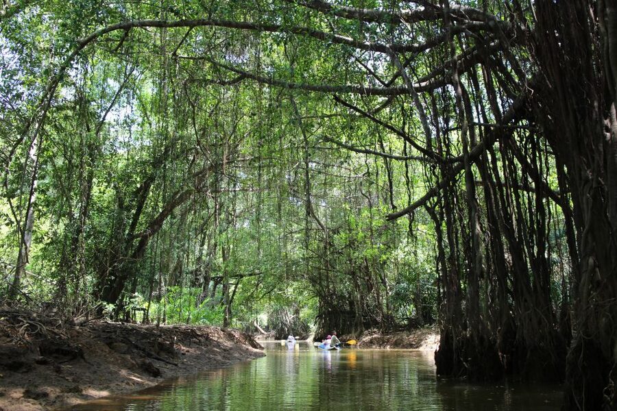 Khao Lak: Sri Phang Nga Canoe and Tam Nang Waterfall Tour - Key things to know before you go
