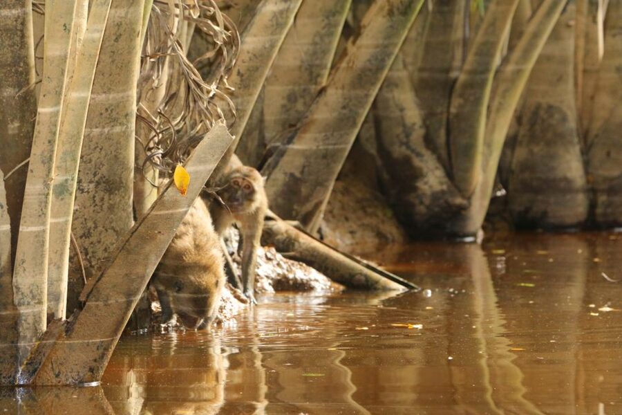 Khao Lak: Sri Phang Nga Canoe and Tam Nang Waterfall Tour - Who this tour is best for