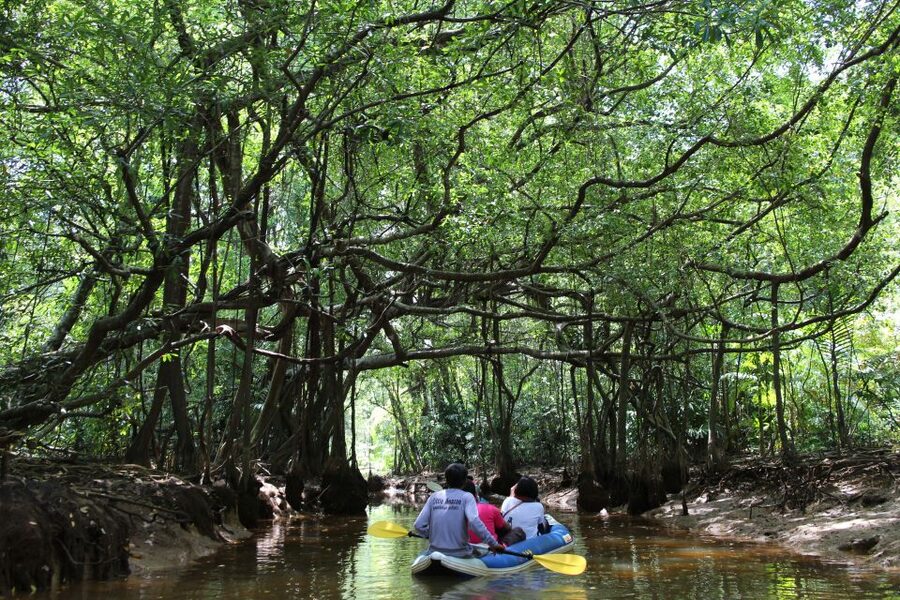 Khao Lak: Sri Phang Nga Canoe and Tam Nang Waterfall Tour - Takuapa market stop: snacks, curry spices, and browsing time