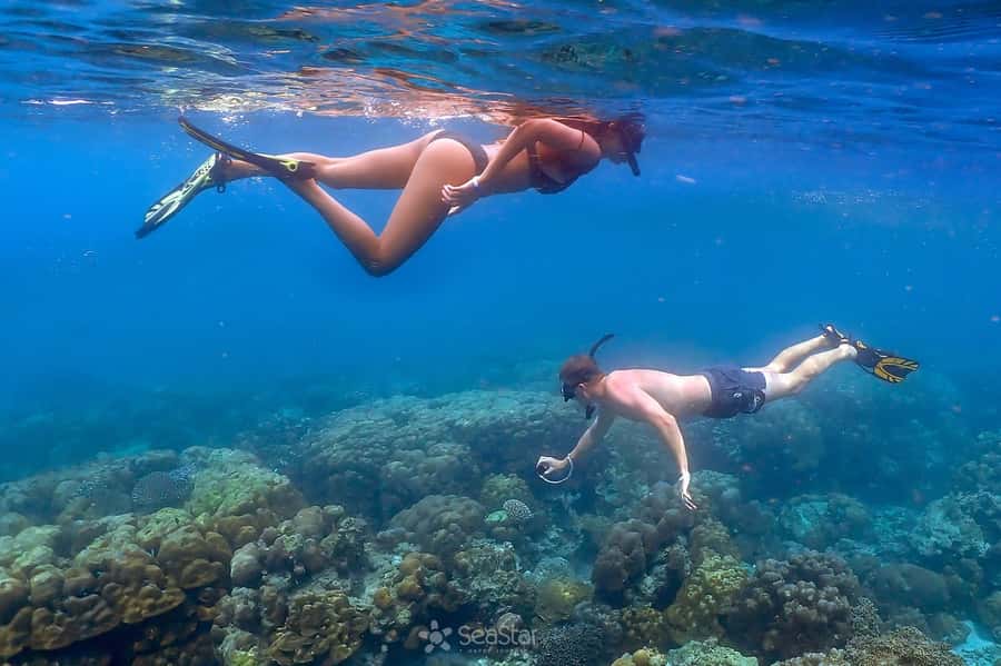 Khao Lak: Surin Islands & Moken Village Premium Snorkel Tour - The speedboat ride: fast, remote, and sometimes wet
