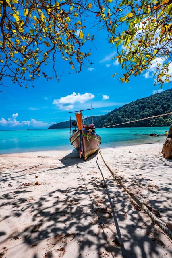 Khao Lak: Surin Islands Snorkeling Tour with Moken Village - Mai Ngam Beach swim before the long return to Khao Lak