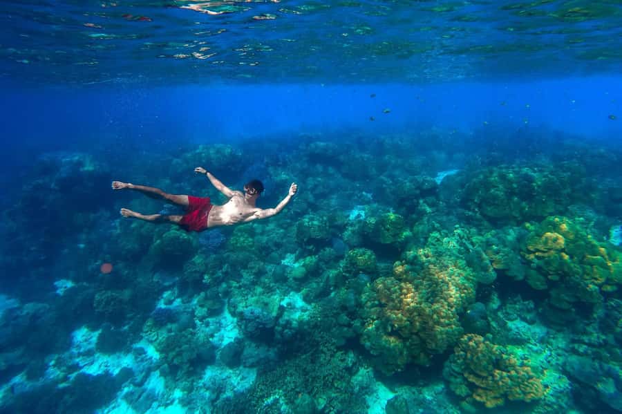 Khao Lak: Surin Islands Snorkeling Tour with Moken Village - Speedboat time, gear help, and the coral rules you must follow