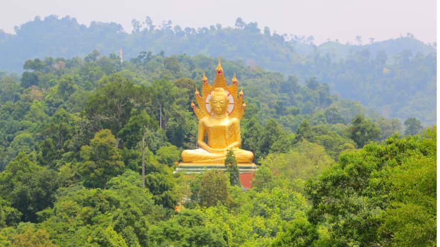 Khao Lak: The Amazing 3 Temples Phang Nga Tour - The Middle Stop: Wat Rat Uppatham / Bang Rieng Temple Views and a Large Pagoda