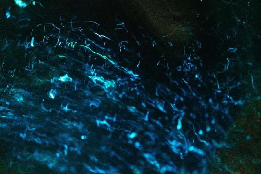 Khao Lak: Twilight Sea Canoe and Glowing Plankton Tour - How much effort is it? Paddlers, safety, and the real feel of kayaking