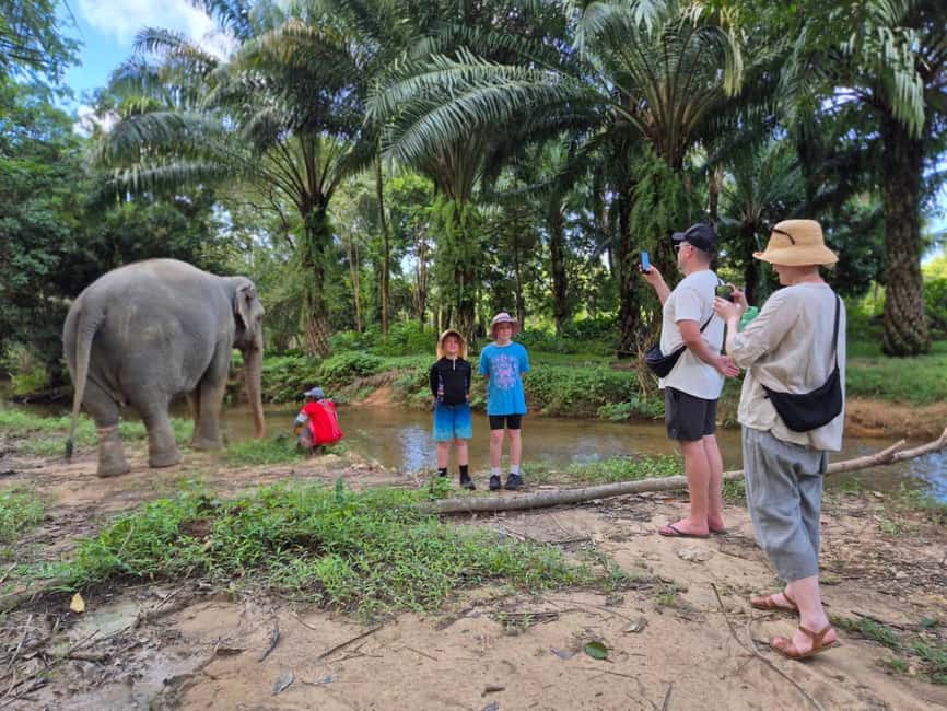 Khao Lak: Waterfall,Sea Turtle,Elephant Care,Meal & Transfer - Key Highlights You’ll Feel Immediately