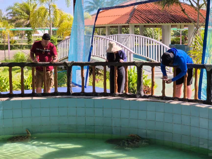 Khao Lak: Waterfall,Sea Turtle,Elephant Care,Meal & Transfer - Khao Lak in Four Hours: What You Really Get