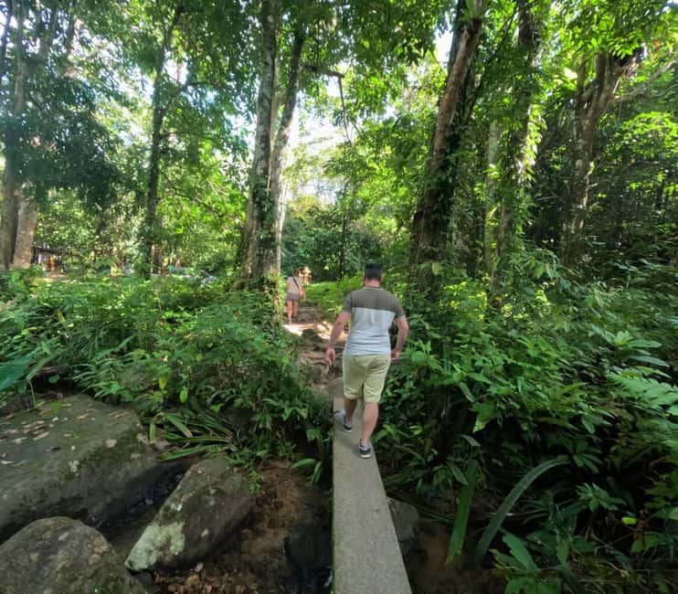 Khao Lak: Waterfall,Sea Turtle,Elephant Care,Meal & Transfer - Pickup Points, Timing, and the Small Moves That Matter