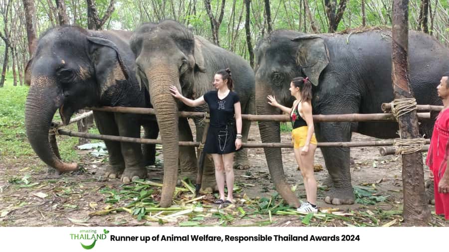 Khao Lak Wild ATV Quad Bike & Gentle Giants Experience - Khao Lak Elephant Sanctuary: ethical, hands-off, and no riding