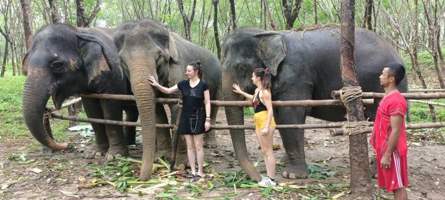 Khao Lak Wild ATV Quad Bike & Gentle Giants Experience - What to bring so you stay comfortable (and not miserable)