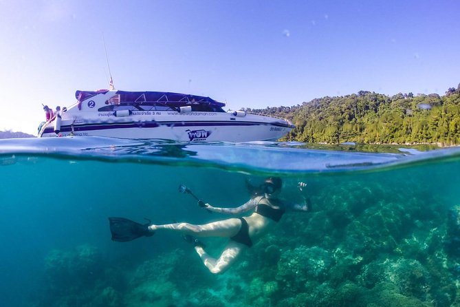 Khao Lak: Wow Andaman Snorkeling Trip to Similan Islands - What Marine Life Looks Like (and the Reality Check)