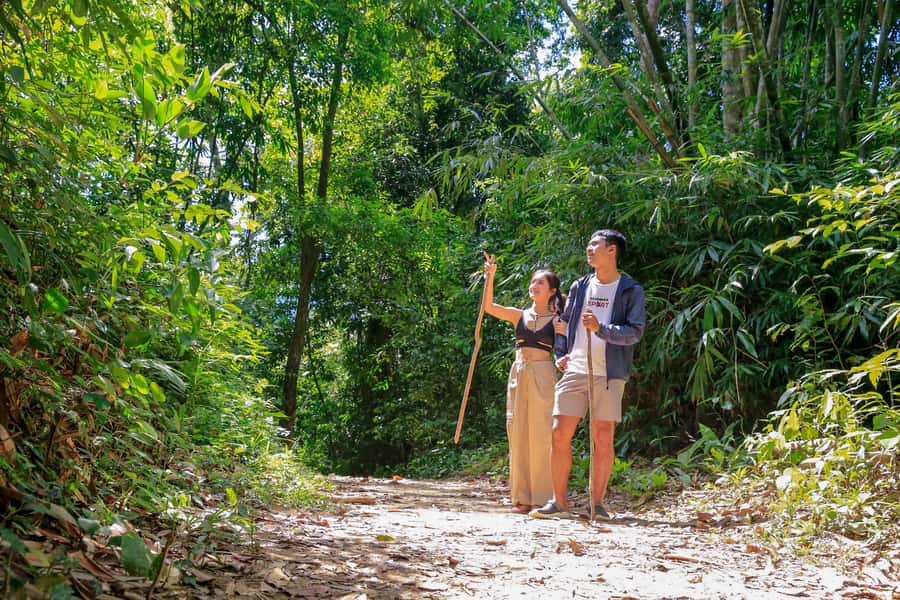 Khao Sok 2-Day Cheow Lan Lake, Wildlife & Ethical Elephants - Key points worth getting excited about