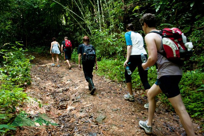 Khao Sok National Park Hiking and Bamboo Raft Tour From Khao Lak - Key Highlights You’ll Care About