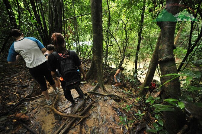 Khao Sok National Park Hiking and Bamboo Raft Tour From Khao Lak - Morning Pickup Into Khao Sok’s Jungle Tempo