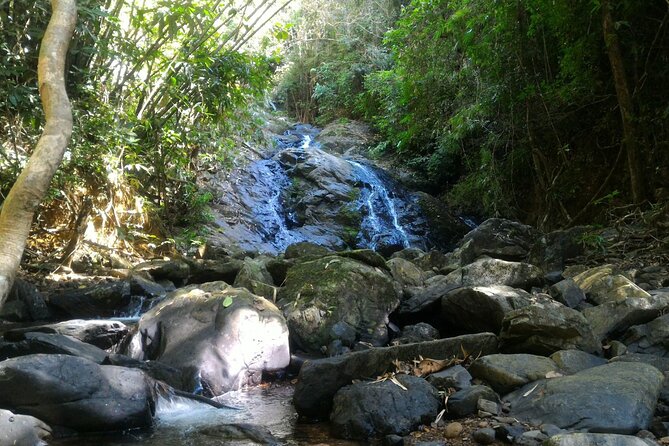 Khao Sok National Park Hiking and Bamboo Raft Tour From Khao Lak - Mae Yai Waterfall: An Added Bonus During Rainy Season
