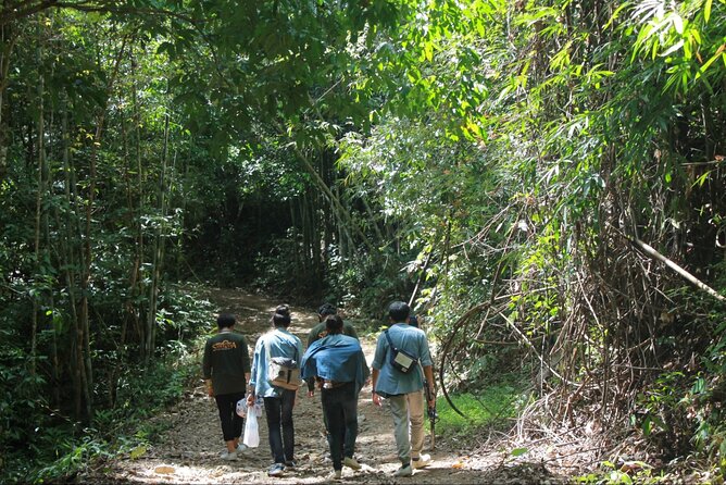 Khao Sok National Park Hiking and Bamboo Raft Tour From Khao Lak - Who This Tour Fits Best (And Who Should Rethink It)