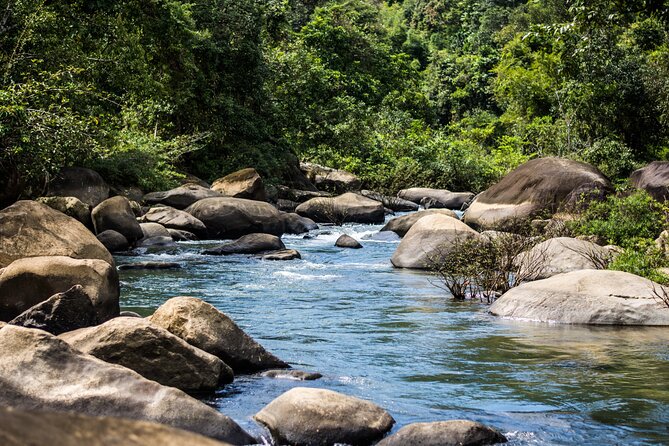 Khao Sok Rainforest | Hiking & Bamboo Rafting - The extras that make the day memorable: jungle coffee and a viewpoint
