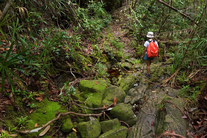 Khao Sok Rainforest | Hiking & Bamboo Rafting - Getting picked up in Khao Lak and heading to the park