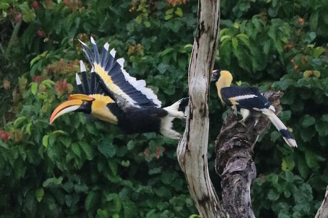 Khao Sok Wildlife 2 Days - Food and timing: breakfast, dinner, and the rhythm of early starts