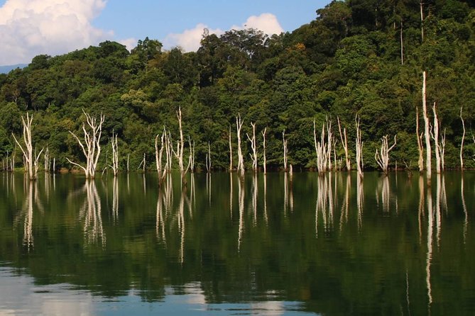 Khao Sok Wildlife 2 Days - Who this Khao Sok Wildlife tour fits best (and who should look elsewhere)
