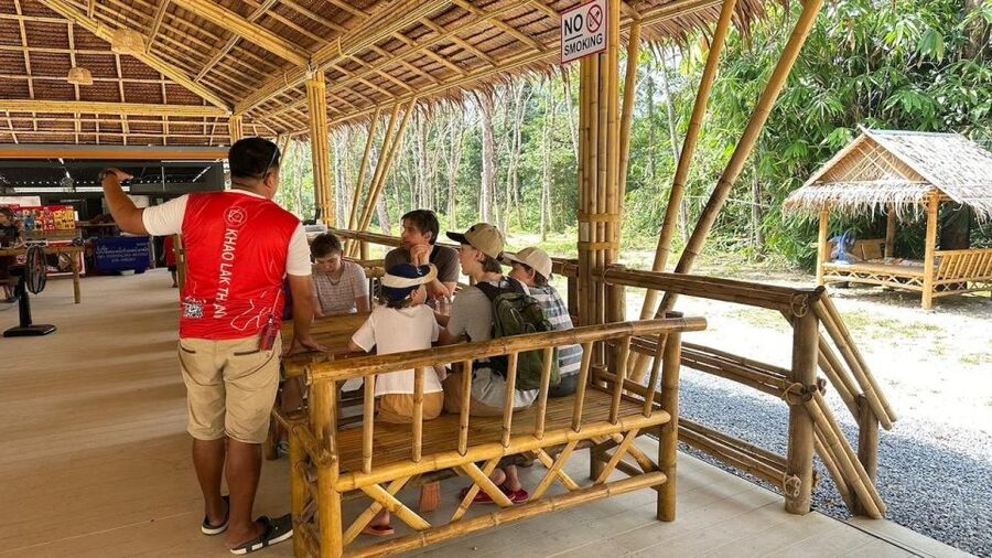 Khaolak: Begin the Day with Elephants - Walk and Feed Tour - The Jungle Stroll: Seeing How Their Day Moves