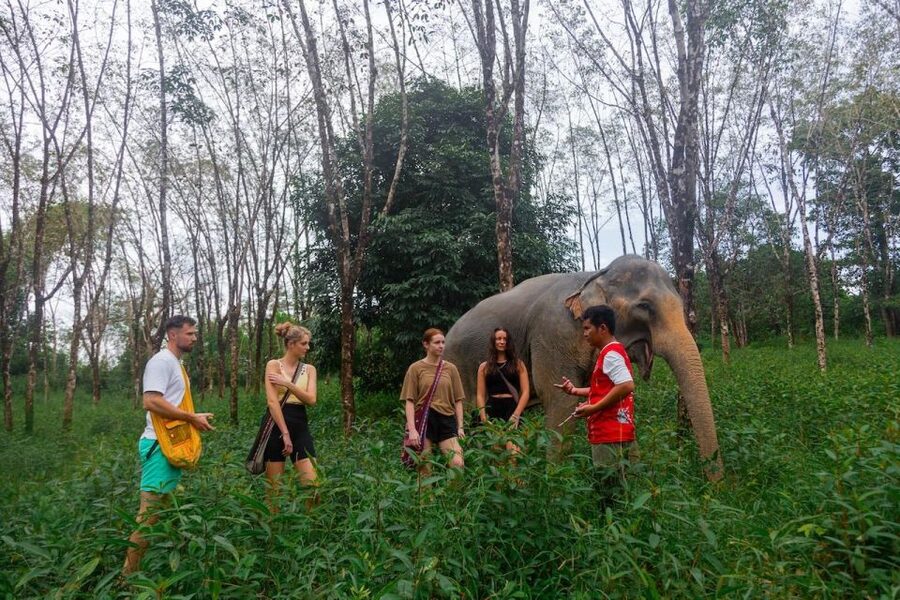 Khaolak: Begin the Day with Elephants - Walk and Feed Tour - After the Elephants: Final Photos and Changing Back Into Dry Clothes
