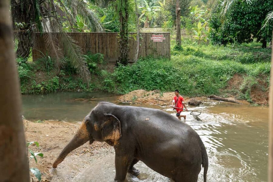 Khaolak: Elephant Sanctuary Guided Tour with Hotel Transfers - Insurance and Guide Support: The Small Stuff That Improves the Experience