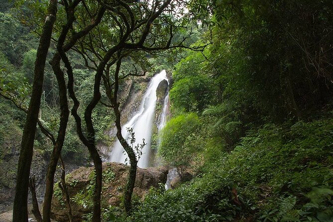 Khaolak Nature & Culture Tour with Lunch - Key highlights at a glance