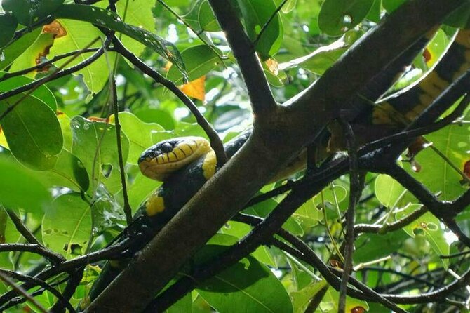 Khaolak Nature & Culture Tour with Lunch - Lunch at the park: a real reset between nature stops