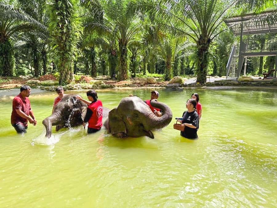 KhaoLak :White Water Rafting ,Monkey Cave, Elephant Bathing - Song Phraek River rafting: safety talk, 5.5 km of real river time