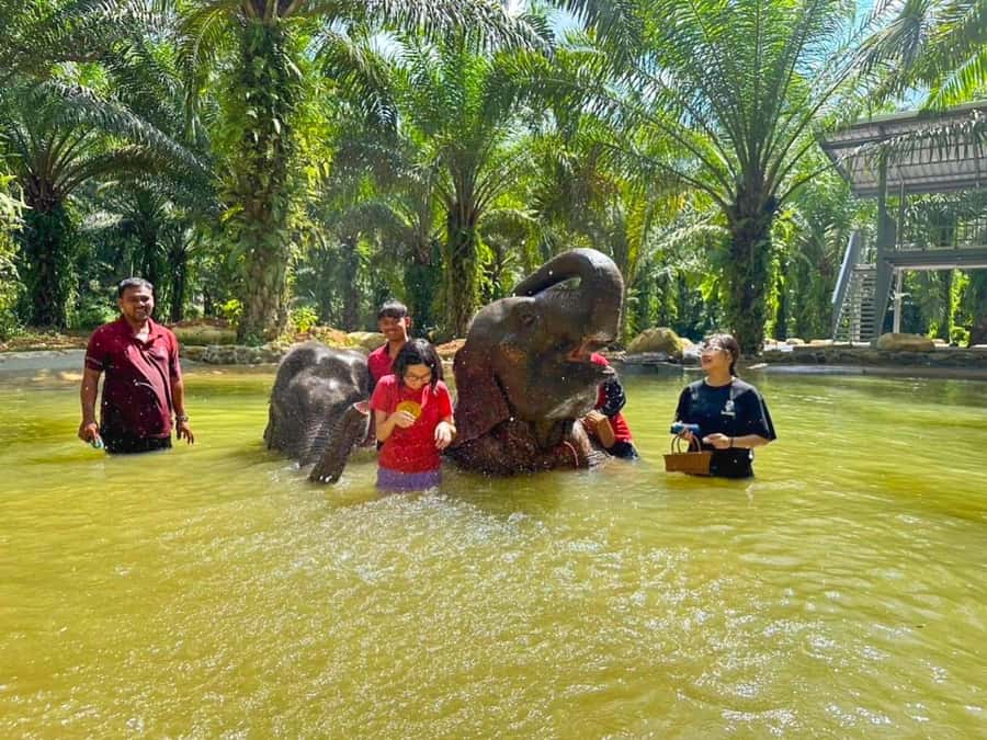 KhaoLak :White Water Rafting ,Monkey Cave, Elephant Bathing - Waterfall swim: the clean finish to a wet day