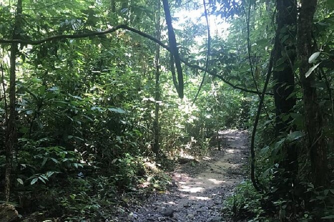 Khaosok Jungle Exploration from Khaolak - Who this trip suits best (and who should rethink it)
