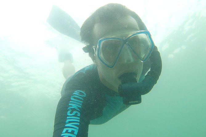 Local Reef Snorkelling and Deserted Beach - Mangroves and local fishing towns: why the cruise feels worth it
