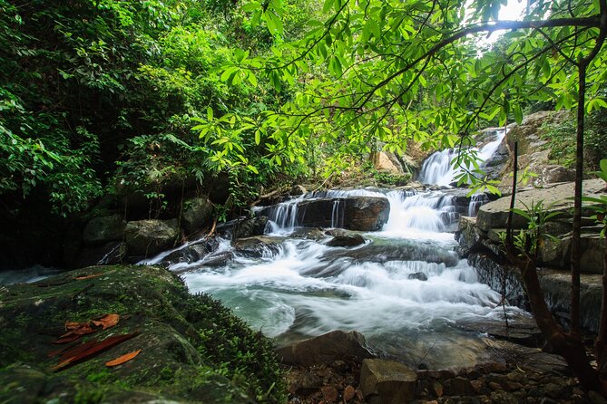 Off Road Safari Khao Lak - Lakeside Thai Lunch: The Meal With the Best View
