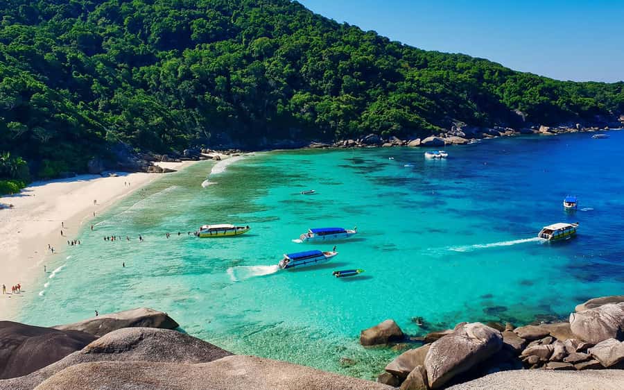 Phuket/Khao Lak: Similan Island Adventure Tour - What’s Really in the Meals: Breakfast, Thai Lunch, and Afternoon Snacks