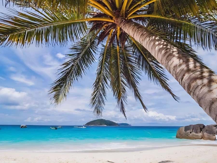 Phuket/Khao Lak: Similan Islands by Speedboat - Lunch on the Similan Islands: food, shade, and downtime