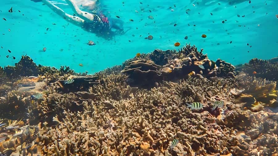 Phuket: Similan Island by Speedboat - Return Trip: Tired, Salted, and Usually Happy