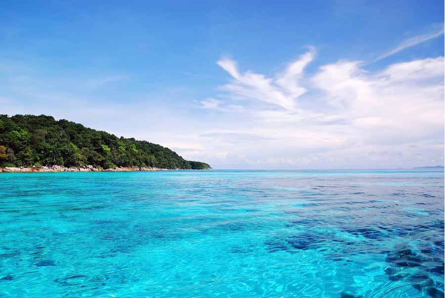 Phuket: Similan Island Day Trip by Speed Boat Catamaran - The boat return: drinks, snacks, and a proper taste of Thailand