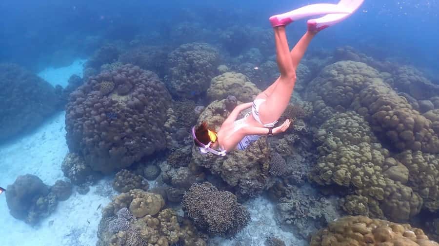 Phuket : Surin Island by Speedboat - Key points worth knowing before you go