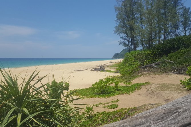 Shoreline Cruise and Secluded Beach - Royal Thai Navy Sea Turtle Conservation Center: what you learn in 45 minutes