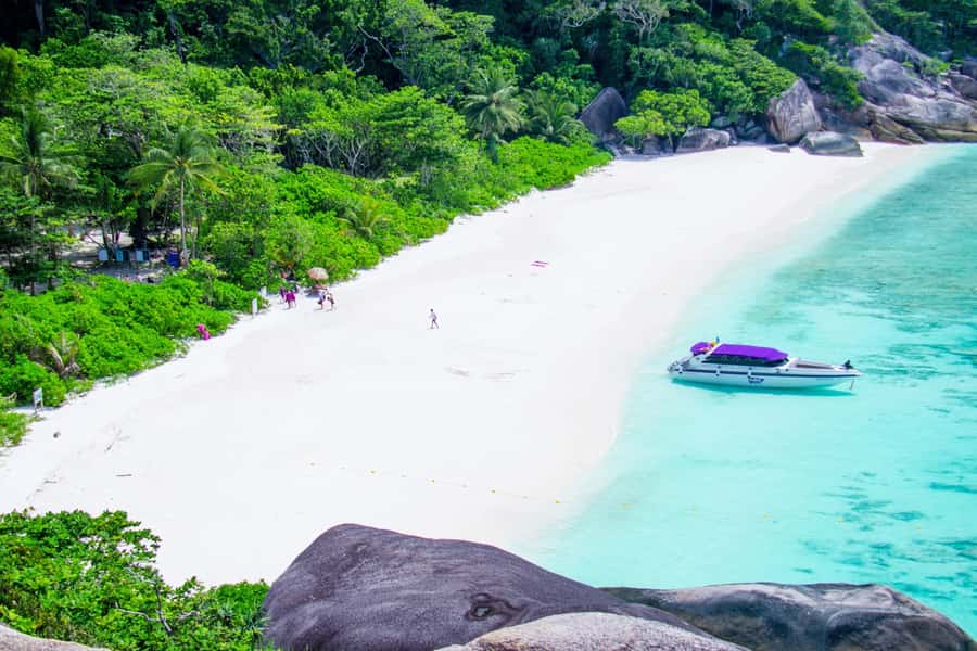 Similan Island Snorkeling Crystal Waters & Marine Life - Price and Extra Fees: The Real Math