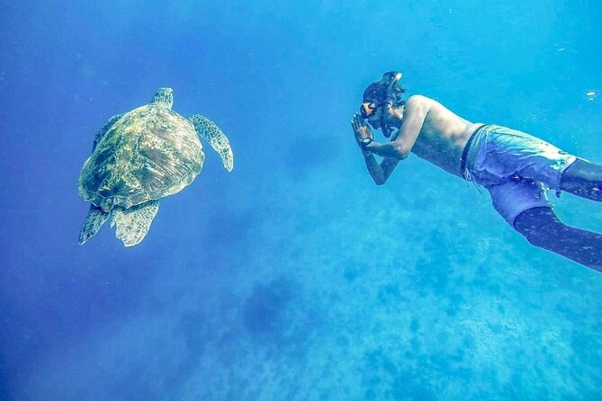 Similan Islands Day Tour from Phuket and Khaolak - Snorkeling at Ko 7: another reef stop for more water time