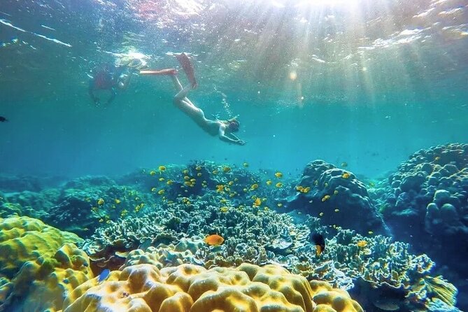 Similan Islands Day Tour from Phuket and Khaolak - The return to Thap Lamu Pier: snacks, drinks, and getting back on land