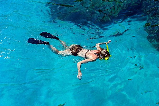 Similan Islands One Day Tour From Khao Lak - Ko Miang (Stop 1): Island Time Plus Thai Buffet Lunch