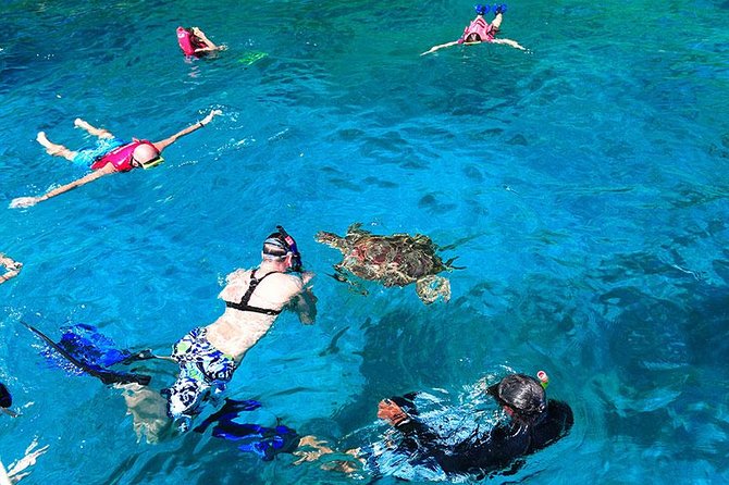 Similan Islands One Day Tour From Khao Lak - Ko Pa Yu (Ko Jed) and Bangu Island (Koh 9): Two One-Hour Snorkel Stops