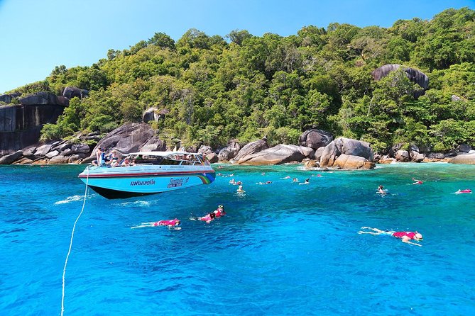 Similan Islands Snorkel Tour by Fantastic Similan Travel from Khao Lak - Koh Miang (Island No. 4) and Princess Bay: your first real reef swim